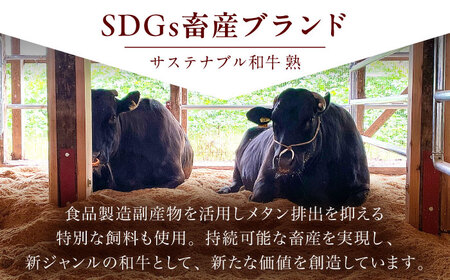 サステナブル和牛 熟 鍋守 赤のもつ鍋セット４－５人前 モツ500g  | サステナブル 和牛 もつ鍋 セット 醤油ベース 島根県雲南市/株式会社熟豊ファーム [AIAT006]