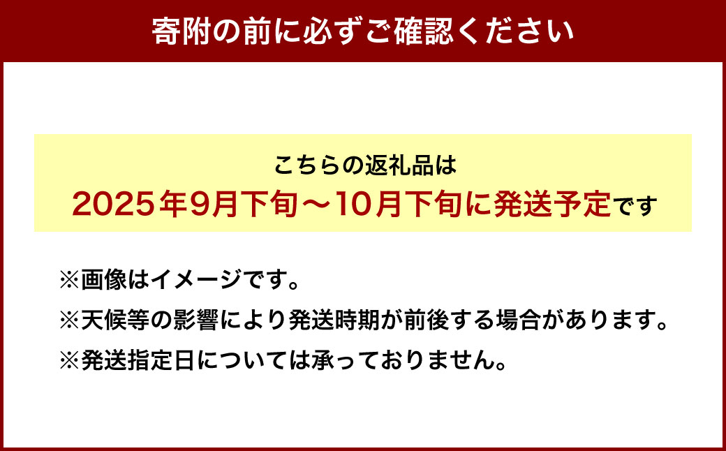 【令和7年産 先行受付】北海道深川市産 りんご（つがる） 5kg【2025年9月下旬-10月下旬 発送予定】林檎 リンゴ フルーツ デザート お取り寄せ