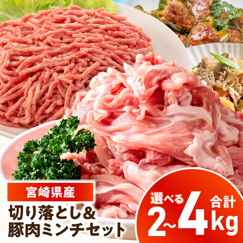 【ふるさと納税】【選べる内容量】宮崎県産豚肉 切り落とし＆豚肉ミンチセット 2～4kg