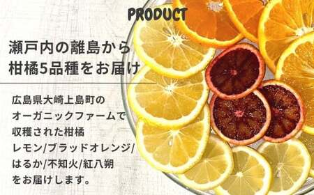 国産 オーガニックフルーツ詰め合わせ 5kg レモン ブラッドオレンジ はるか 不知火 紅八朔 有機JAS認証 選べるサイズ 瀬戸内 広島 大崎上島 離島 有機栽培 安心 安全 オーガニック 柑橘 濃