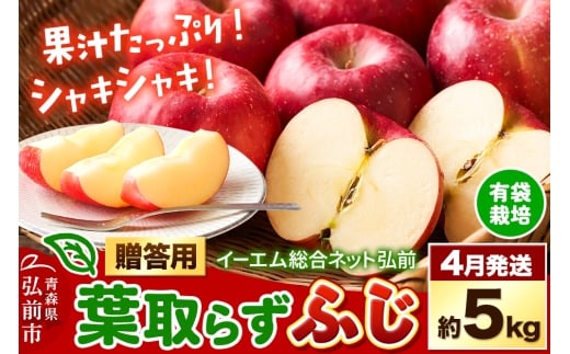 【26年4月クール便発送】りんご  贈答用 葉取らず ふじ 約5kg（有袋栽培・CA貯蔵）EMりんご