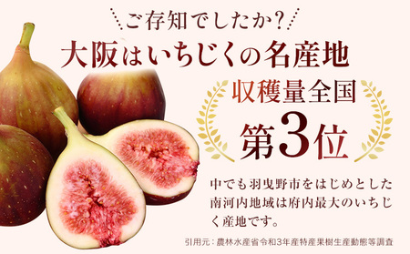 いちじくワイン 720ml 1本 (株)飛鳥ワイン《30日以内に出荷予定(土日祝除く)》大阪府 羽曳野市 アルコール ワイン 酒 いちじく 果物 フルーツ 甘口