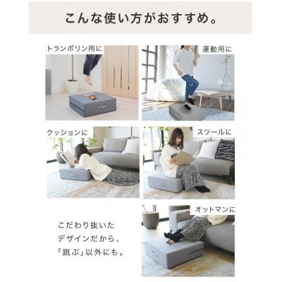 ふるさと納税 館林市 ぽんちゃん トランポリンクッション (ライトグレー) 40cm×40cm 高反発 室内用 |  | 01
