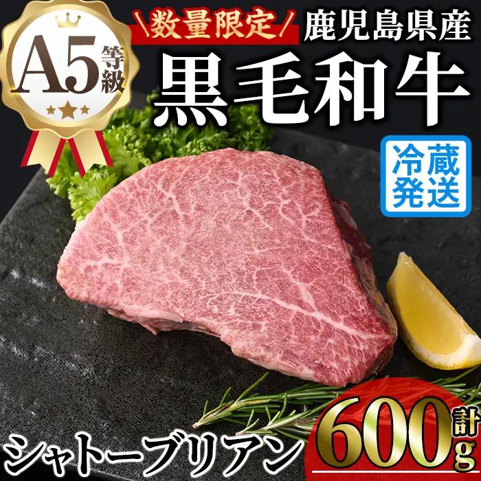 鹿児島県産 A5 黒毛和牛 極厚 シャトーブリアン(計600g・300g×2枚)【KNOT】 D55