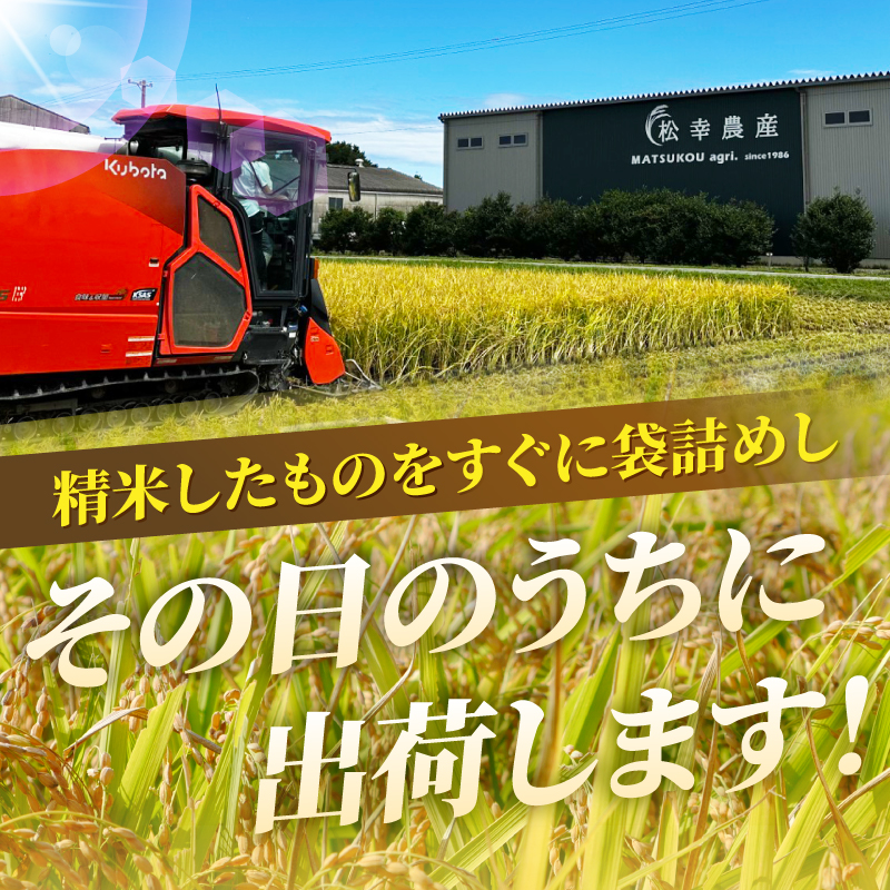 令和7年度産　コシヒカリ　特選米　5kg