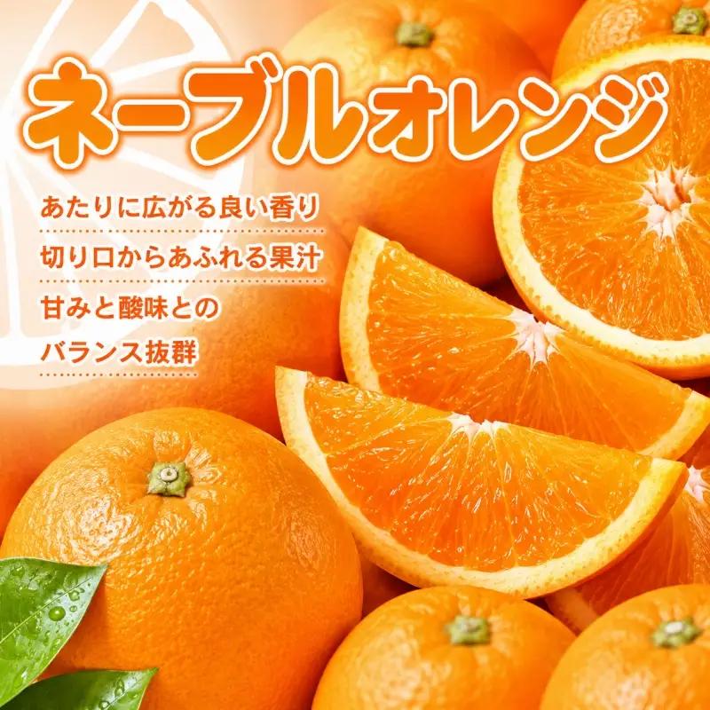 ネーブル 約7kg/サイズおまかせ　※2027年1月中旬～2027年2月中旬頃(お届け日指定不可)　紀伊国屋文左衛門本舗　【kstb430C】