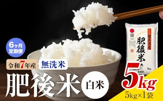 【6ヶ月定期便】熊本県産 肥後米 無洗米 白米 5kg 1袋5kg 米 お米 令和7年産 九州産 熊本県産 送料無料《お申込み翌月に出荷予定》 無洗米 白米 米