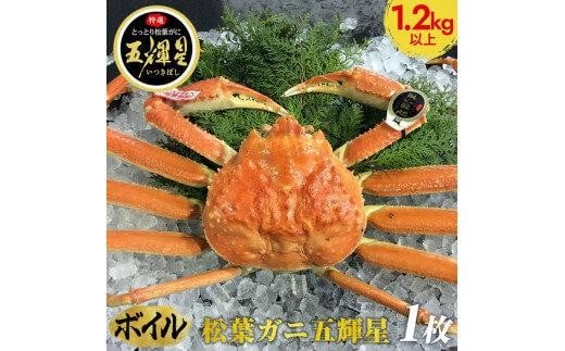 ＜10/1～寄附額改定＞【ボイル】鳥取ブランド　松葉ガニ『五輝星』※2025年11月上旬～2026年3月下旬頃に順次発送予定※着日指定不可