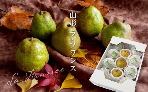 
            【令和7年産先行予約】 ラ・フランス 化粧箱入 約3kg (8～12玉 秀 L～2L) 《令和7年11月下旬～発送》 『Yamagataうまいな中村屋』 ラフランス 西洋梨 洋なし 梨 果物 フルーツ 山形県 南陽市 [1742]
          