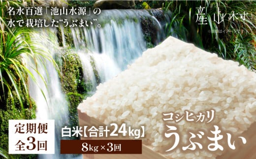 【令和6年産新米定期便3回】うぶまい(コシヒカリ　白米)8kg〈阿蘇の名水　池山水源米〉