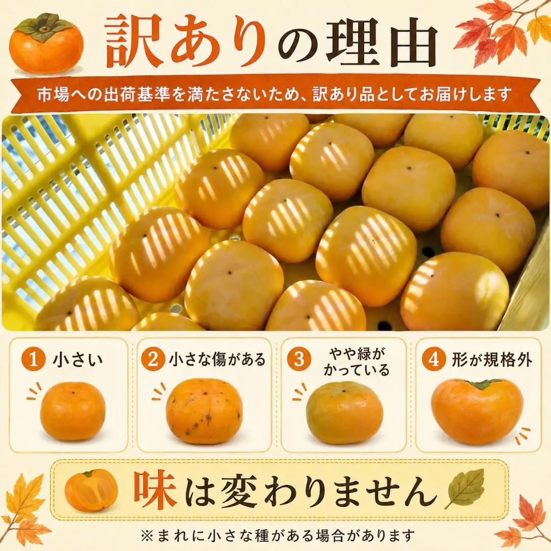 柿 たねなし柿 5kg 訳あり