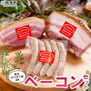 【ふるさと納税】＜奥地ほうぼく豚を使ったベーコンセット＞豚肉 ぶた お肉 加工品 おつまみ おかず ベーコン 七味ベーコン ボイルウインナー バラ肉 ブロック 詰合せ BBQ アウトドア キャンプ サラダ 愛媛県 西予市 【冷蔵】『3か月以内に順次出荷予定』