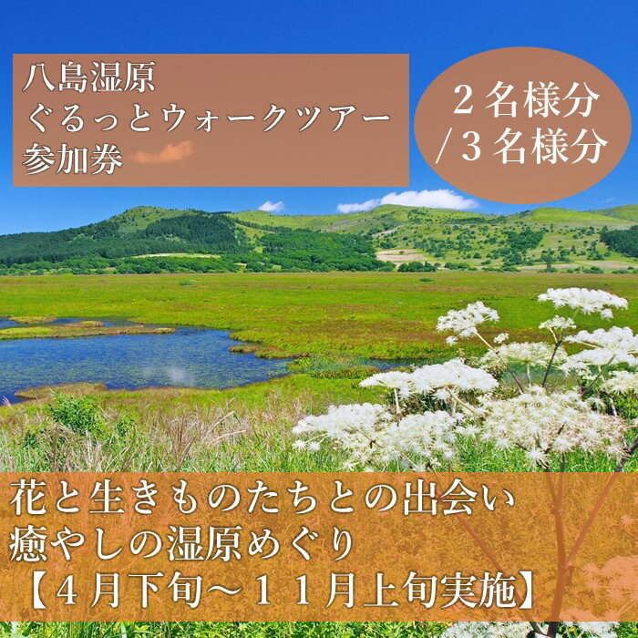 【ふるさと納税】八島湿原ぐるっとウォーク～花と生きものたちとの出会い 癒やしの湿原めぐり～ 参加券 全2種[2名様分/3名様分]/ 八ヶ岳登山企画 ハイキング 体験 アウトドア 子ども こども トレッキング チケット 観光 信州 長野県 諏訪市 諏訪 [88-0506]