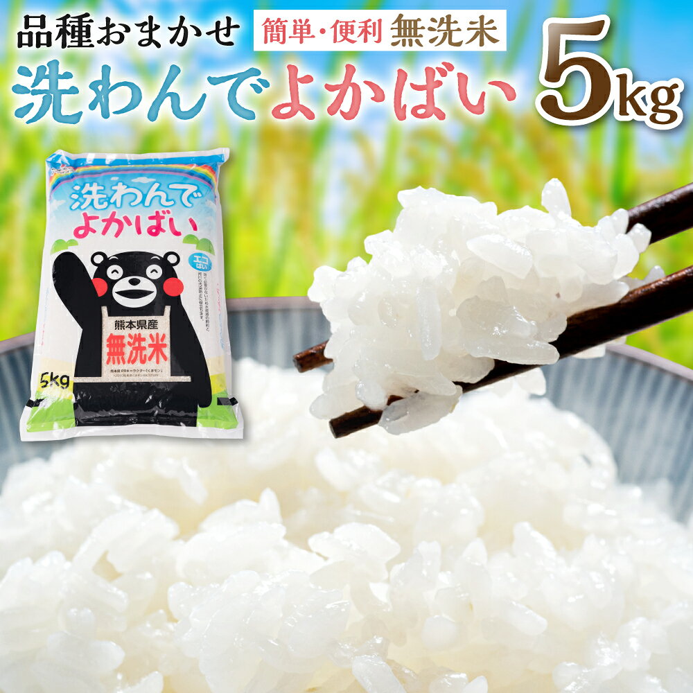 【ふるさと納税】 令和8年熊本地震復興支援 《令和7年産》 洗わんでよかばい 5kg 米 お米 精米 白米 無洗米 ごはん ご飯 おにぎり お弁当 熊本県 八代市 送料無料