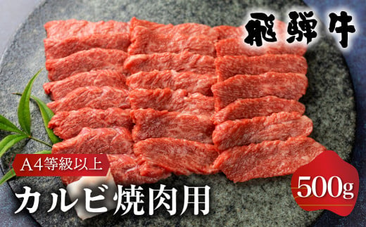 飛騨牛 カルビ（肩バラ肉）焼肉用 500g 高山米穀  [S335]