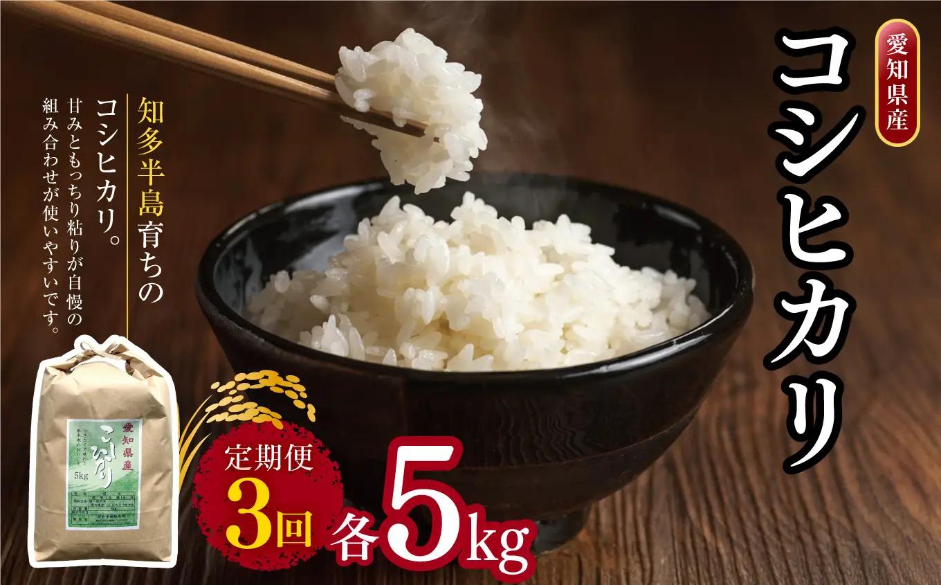 【定期便3回】愛知県産 コシヒカリ 5kg｜米