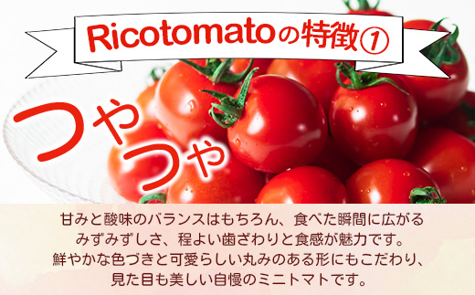 【先行予約】 【2026年1月から出荷】 完熟ミニトマト『Ricotomato』 【1kg×3回定期便】 E-68