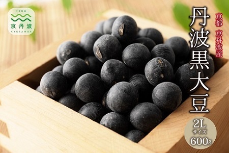 丹波黒大豆 2Lサイズ 600g （300g×2袋） 黒豆 