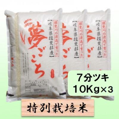 ふるさと納税 池田町 【令和7年産】特別栽培米 30kg【7分ツキ】(夢ごこち)