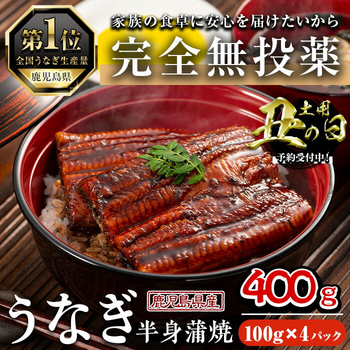【ふるさと納税】＜丑の日先行予約受付中！＞鹿児島県産うなぎ半身カットセット (100g×4パック、タレ・山椒付き) 鰻 ウナギ うな重 ひつまぶし かばやき 九州産 国産 冷凍 真空パック カットうなぎ 蒲焼き【西日本養鰻】
