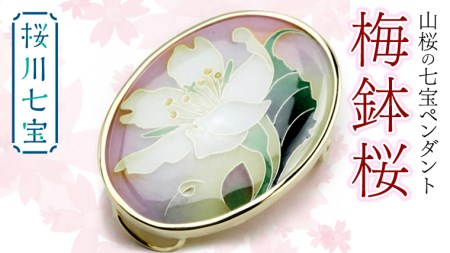 山桜の七宝ペンダント 梅鉢桜 母の日 プレゼント ジュエリー 記念 ギフト 贈り物 贈答[AH009sa]