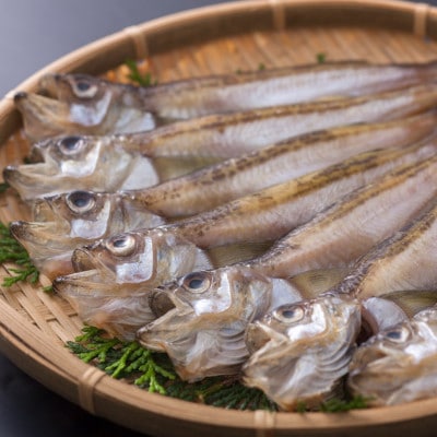 一夜干はたはた350g×2P【配送不可地域：離島】【1633505】