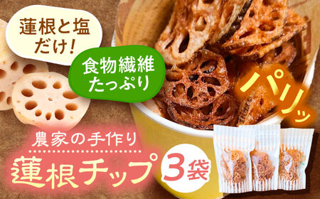 【先行予約 10月より順次発送いたします】 農家が作る レンコンチップ ヒマラヤ岩塩味 おやつ レンコン 蓮根 愛西市 / しのだ農園-SHINODA FARM-[AECE006]
