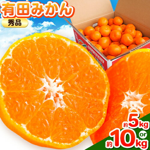 【ふるさと納税】【秀品】紀州有田みかん 選べる内容量 約 5kg S〜L サイズ混合 約 10kg Sサイズ《11月下旬-1月上旬頃出荷》 ライスショップ スマイル 和歌山県 日高川町 柑橘 フルーツ みかん 有田みかん