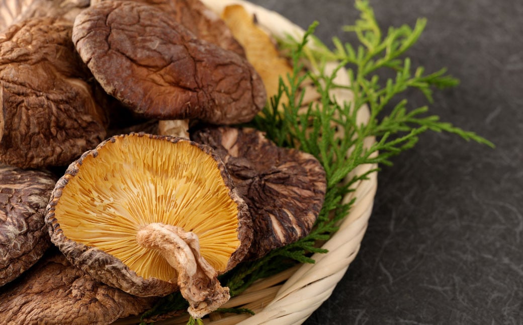 【6ヶ月定期便】大分産椎茸こうしん 450g（50g×9袋）合計2,700g