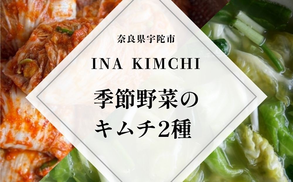 
            季節野菜のキムチ500g×2種類／ ふるさと納税 キムチ ふるさと 白菜 キャベツ 大根 赤キムチ 白キムチ 料理 グルメ INA Lab INA KIMCHI 取り寄せ 室生 奈良県 宇陀市
          