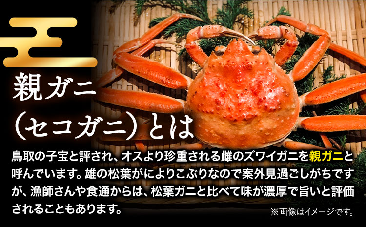 訳あり 親ガニ カニ 約1kg (5～8枚入り) 生 さんチョク《2025年11月中旬-2026年1月上旬頃出荷》鳥取県 八頭町 送料無料 蟹 かに 鍋 ズワイガニ ズワイ蟹 冷蔵 セコガニ