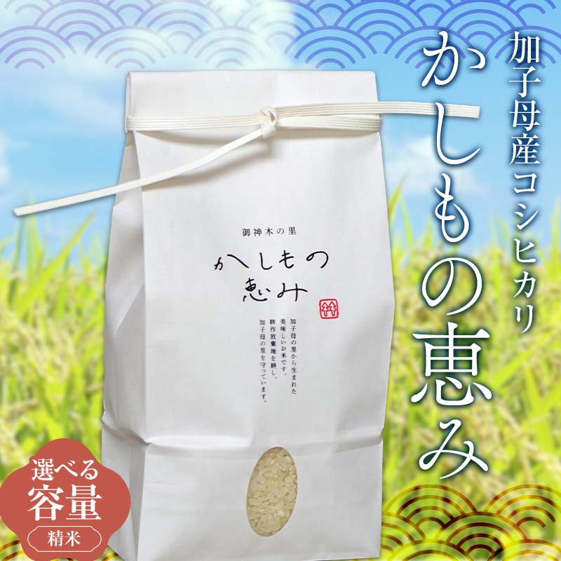 【ふるさと納税】《選べる容量》加子母産コシヒカリ「かしもの恵み」2kg 3kg あなたが選ぶ日本一おいしい米コンテスト受賞米 米 精米 コシヒカリ F4N-1798var