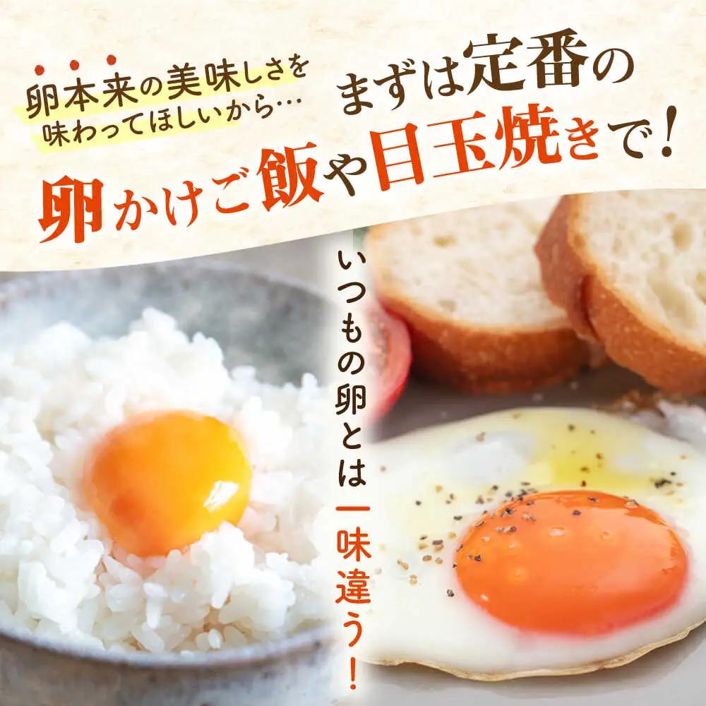 【お中元対象】卵 20個 てつやとのりこの玉子 卵 たまご [AWD015]