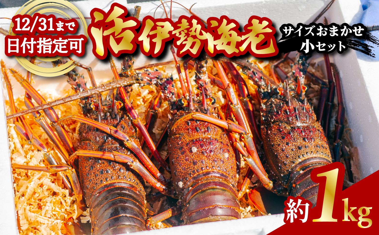 箱詰め伊勢海老サイズおまかせ小セット（約１．０kg） 伊勢海老 活伊勢海老 約1kg サイズおまかせ 伊勢えび 伊勢エビ いせえび イセエビ 季節限定 海老 えび エビ 高級 国産 海鮮 ギフト