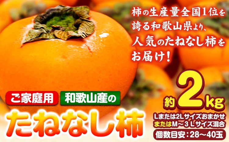 
                  【ご家庭用】【先行予約】和歌山産のたねなし柿約2kg Lまたは2LサイズおまかせまたはM～3Lサイズ混合(個数目安:28玉～40玉)《2026年9月末-11月上旬頃出荷予定》 和歌山県 紀の川市 紀の川市厳選館 柿 カキ かき ジューシー フルーツ 秋の味覚 刃根早生 平核無柿
                