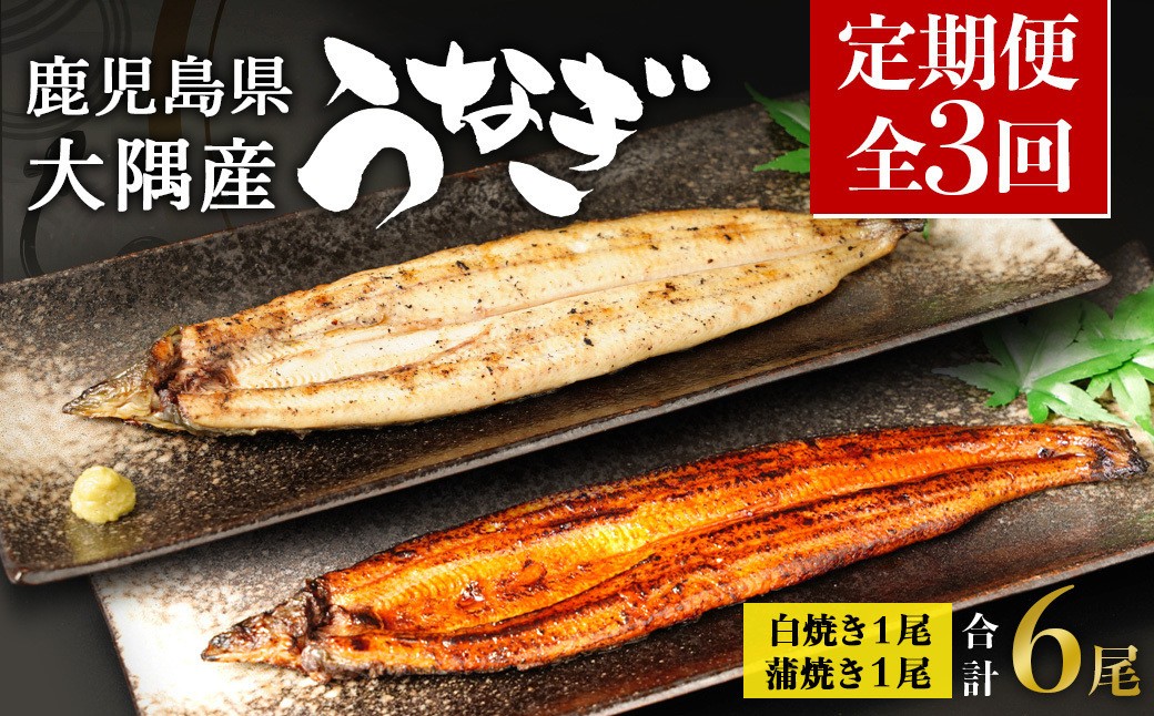 
            【定期便全3回】鹿児島県大隅産　千歳鰻の白焼1尾・蒲焼き1尾　（1尾110g～130g）
          