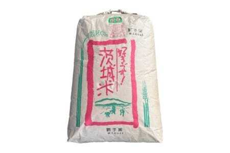 【令和7年産】 獅子米 ゆうだい21 玄米10kg 岡田ファーム あなたが選ぶ日本一おいしい米コンテスト 最優秀金賞 受賞 お米 米 おこめ ブランド米 10キロ 国産 単一原料米 コメ こめ ご飯