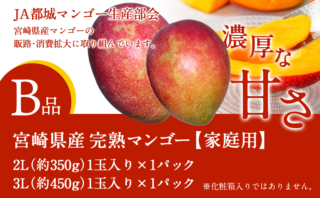【先行受付!】宮崎県産完熟マンゴー(B品)【2L×1玉、3L×1玉】≪2027年5月中旬以降順次お届け≫〔21-0101〕_(都城市)