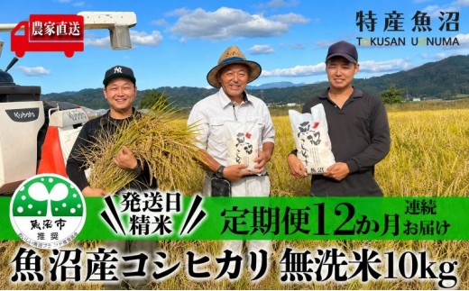 
                  無洗米 定期便 12ヶ月 コシヒカリ 5kg 米 白米 お米 魚沼産コシヒカリ 新潟米 新潟 魚沼市 定期 12回
                