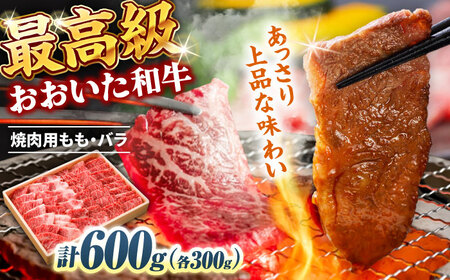 おおいた和牛 もも・バラ焼肉セット 600g(各300g) 赤身 モモ 焼肉  冷凍 豊後牛 おおいた和牛 バラ BBQ  [ARCG013]