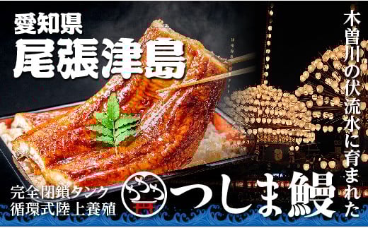 【純国産ウナギ】つしま鰻蒲焼2尾入(300g)