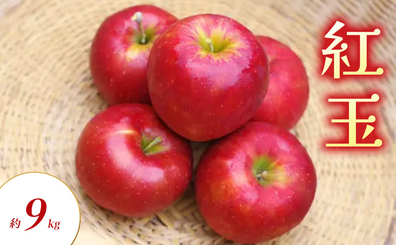 紅玉 約9kg りんご リンゴ 林檎 果物 フルーツ 長野県 長野 山ノ内町