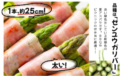 【先行予約／令和8年産】北海道岩見沢産 夏グリーンアスパラ L～2Lサイズ 1kg【41104】