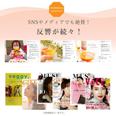 ふるさと納税 古河市 サジージュース 100%と+ゆず 1000ml×各1本セット(計2本) | サジー _DX06 |  | 02