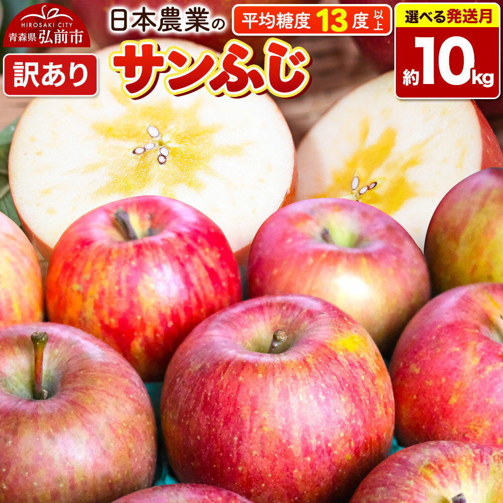 【ふるさと納税】りんご 平均糖度13度以上！ サンふじ 約10kg 訳あり【選べる発送月】青森 果物 フルーツ 林檎 リンゴ くだもの 不揃い 規格外