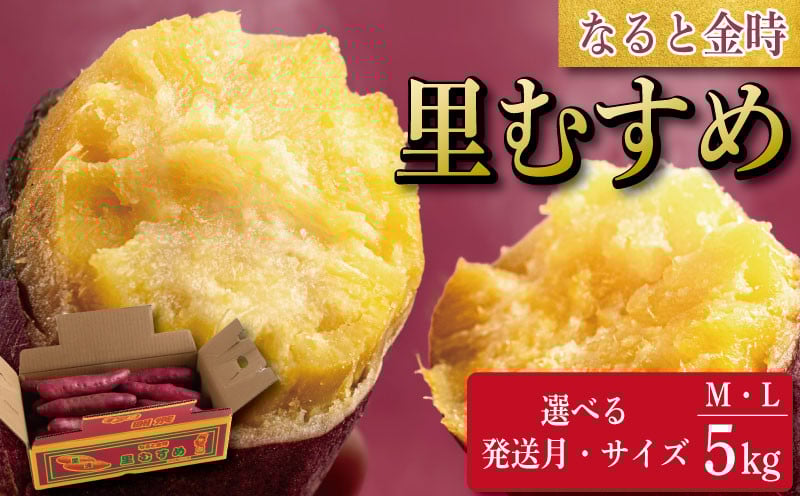 
            さつまいも 5kg 野菜 サツマイモ 焼き芋 芋 鳴門金時 なると金時 ヤサイ やさい 食材 新鮮 旬 産地直送 徳島 鳴門 里むすめ
          