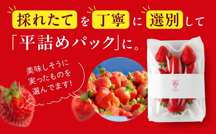 あまおう 果物 フルーツ ストロベリー グルメ パフェ ケーキ パンケーキ
