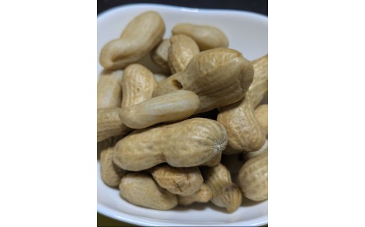 秦野の特産　生落花生　おおまさり　約1,500g from 名水の里　秦野　016-14-1