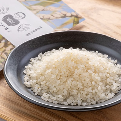 令和6年産 アグリ・オノのこだわり米　ハツシモ　10kg(5kg×2)