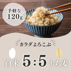 【定期便6ヶ月】金賞健康米 キラリモチ もち麦 パックご飯 120g×12個 食物繊維